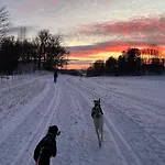 Nyoppusset Naer Horten Sentrum * Nykirke