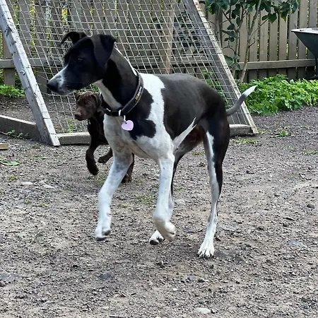 Apartmán Nyoppusset Naer Horten Sentrum *