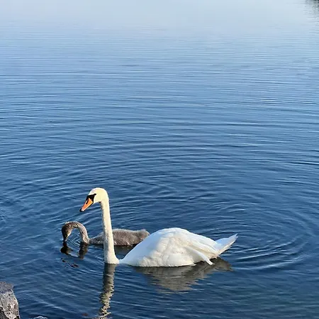 Nyoppusset Naer Horten Sentrum Apartmán