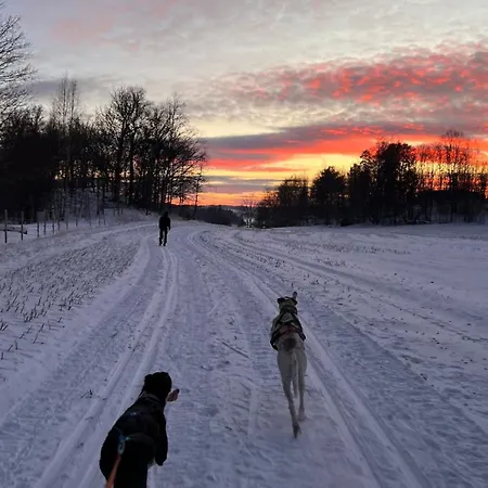 Nyoppusset Naer Horten Sentrum * Nykirke