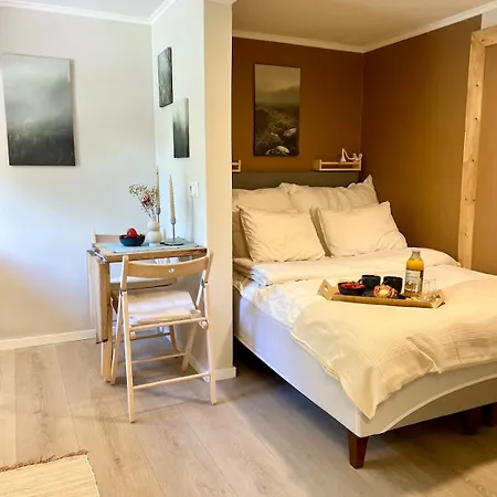 Nyoppusset Naer Horten Sentrum Apartmán Nykirke