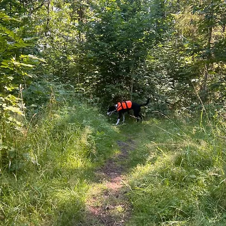 Apartmán Nyoppusset Naer Horten Sentrum Nykirke