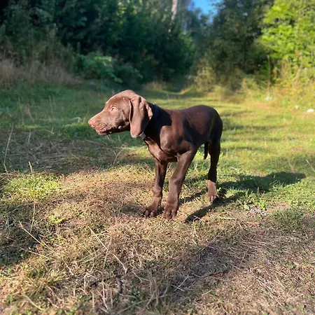 Apartmán Nyoppusset Naer Horten Sentrum Nykirke