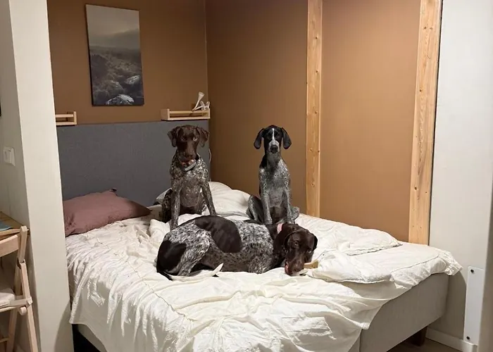 Nyoppusset Naer Horten Sentrum